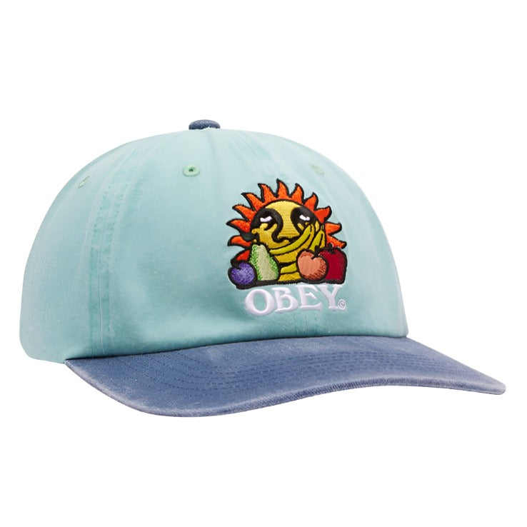 Obey Pigment Fruits 6 Panel Snapback