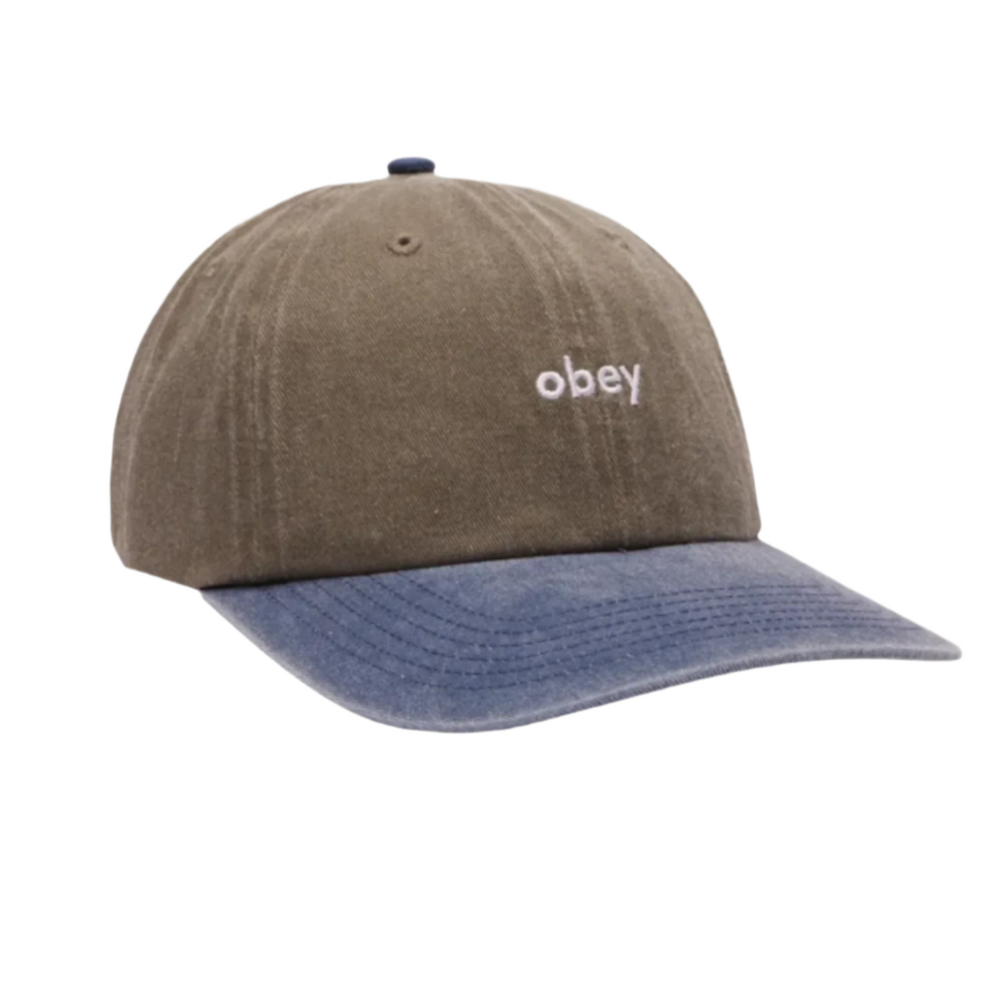Obey Pigment  2-Tone Lowercase 6 Panel