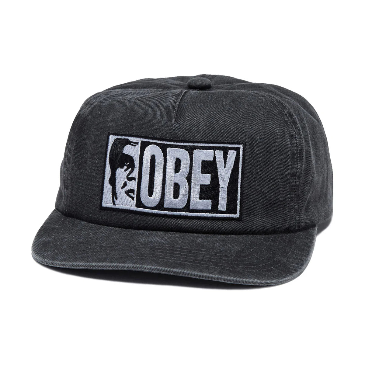 Obey Pigment Half Icon Hope 5 Panel