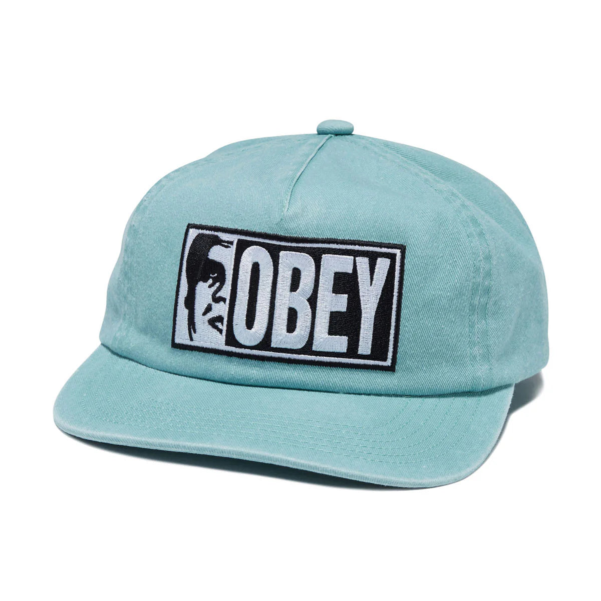 Obey Pigment Half Icon Hope 5 Panel